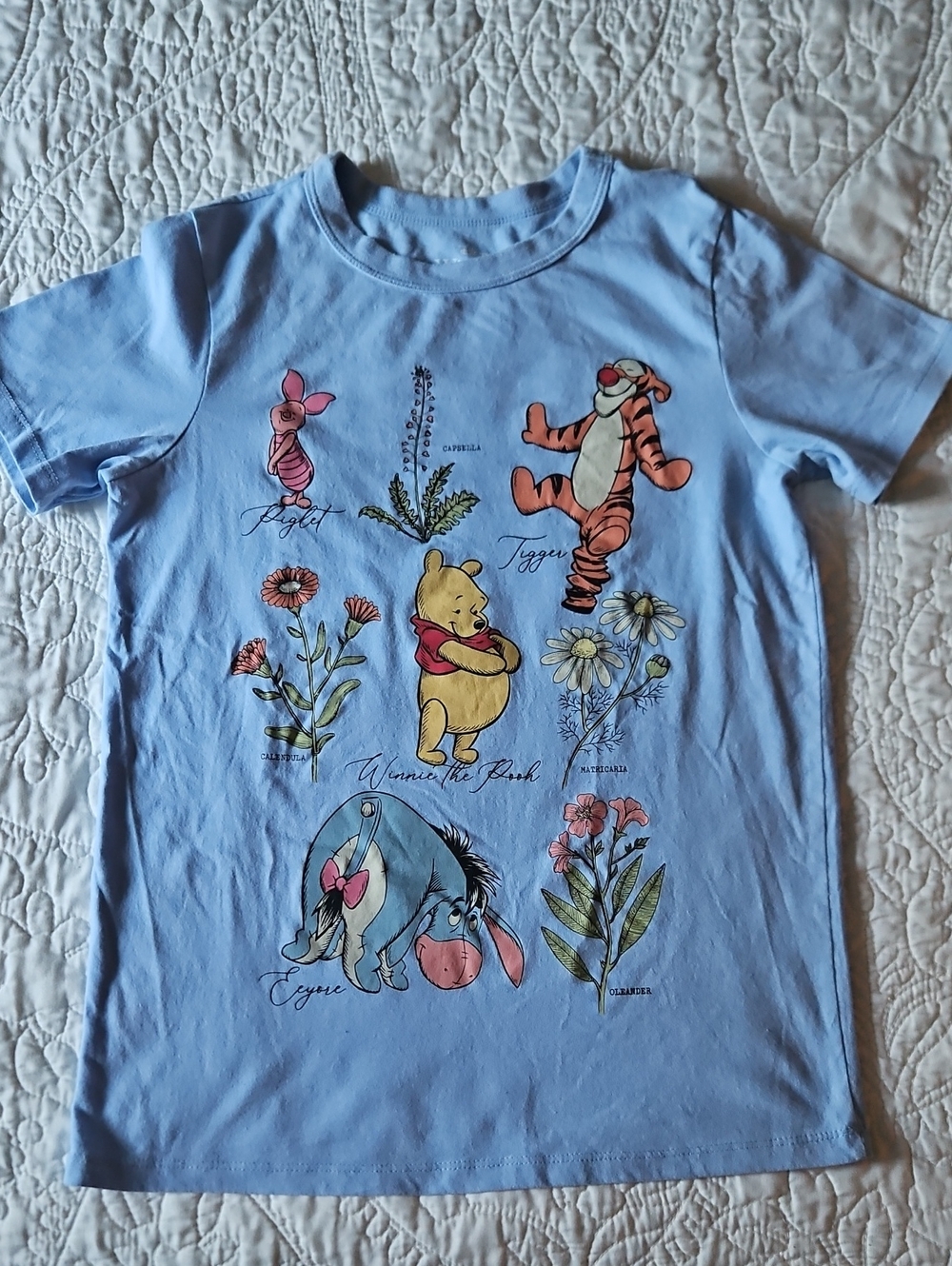 Disney Blue Winnie the Pooh & Friends Graphic Tee